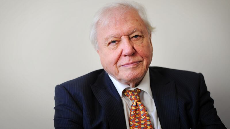 David Attenborough, presenter of Blue Planet II: The series prompted people to voice their frustration about plastic pollution, said Friends of the Earth director Oisín Coghlan. Photograph: Tim Ireland/PA Wire