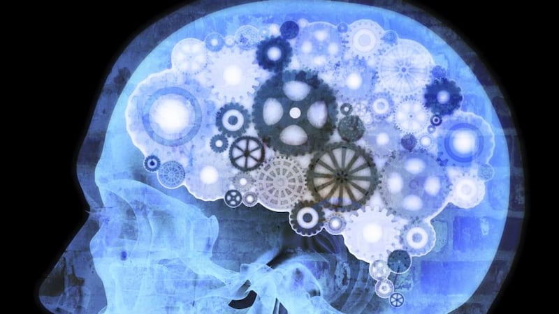 Thought process: we need to gain a better understanding of how our brain works, which will then lead to some implicit applications, says author Chantal Burns