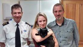 Gizmo the Silly cat returns home 10 months after going missing