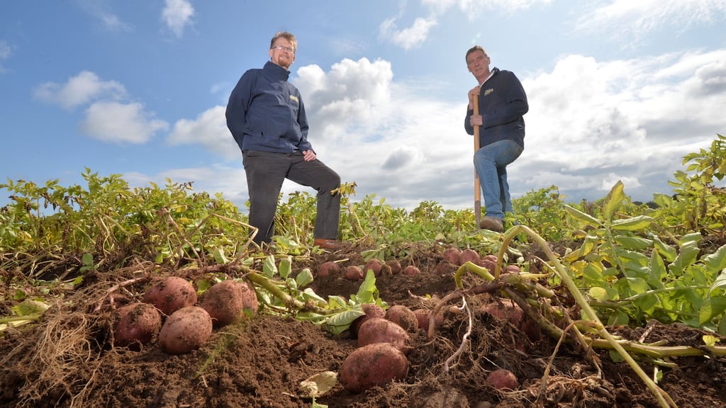 Sean and Martin Clinton of Clintons Crisps. Photograph: Alan Betson
