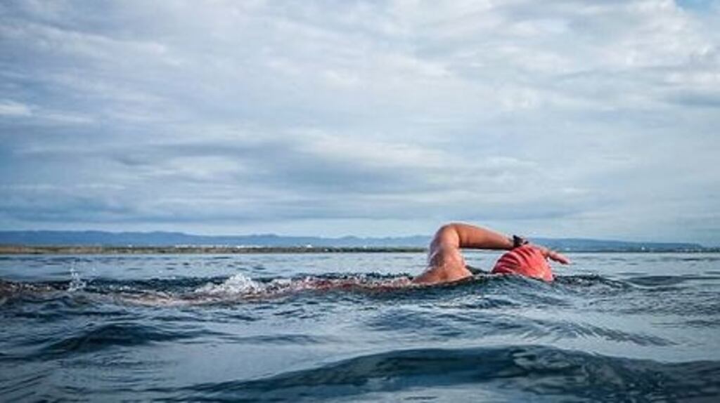 “Environmental factors have been considered from the outset of the site-selection process at each of the 22 locations to be developed under this scheme.” Photograph: Getty Images