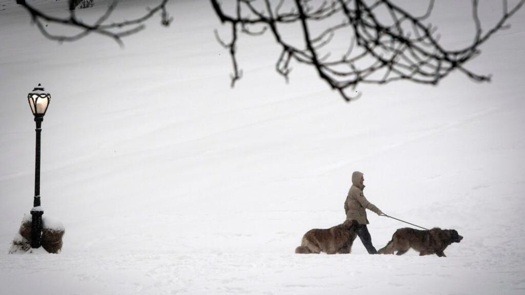 A person walks with dogs in the snow past Cedar Hill in Central Park in New York yesterday. A heavy snowstorm and dangerously cold conditions gripped the northeastern United States. Photograph: Carlo Allegri/Reuters