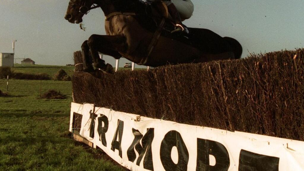 Tramore was abandoned after five of the scheduled seven races. Photograph: Inpho