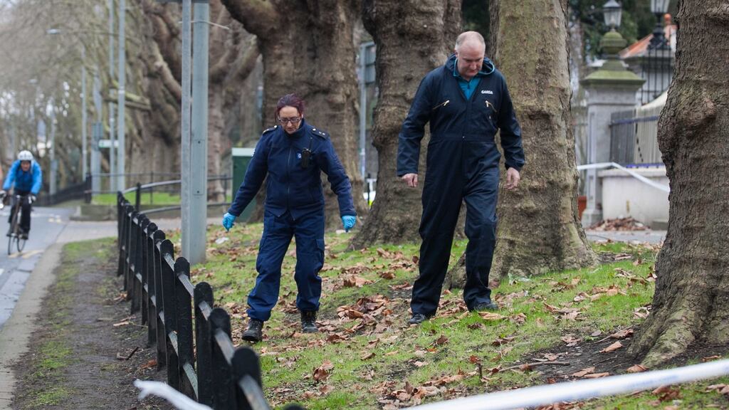 The victim remains in hospital after suffering serious injuries during the alleged knife attack. Photograph: Gareth Chaney/Collins