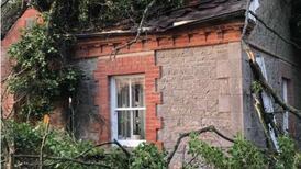 ‘I heard an almighty bang’: Trees crashed through roof as Meath woman watched TV