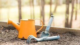 Community food groups to share €75,000 fund