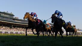 Victoria Road will try to mark Aidan O’Brien’s return to Australia with Cox Plate glory