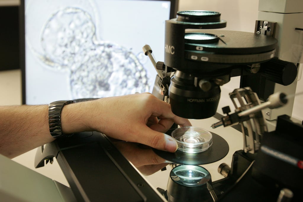 The Sims Clinic last year recorded pre-tax losses of €2.85 million as in-vitro fertilisation (IVF) tourism – where patients travel overseas for treatment - continued to hit its revenues. Photograph: Alan Betson/The Irish Times