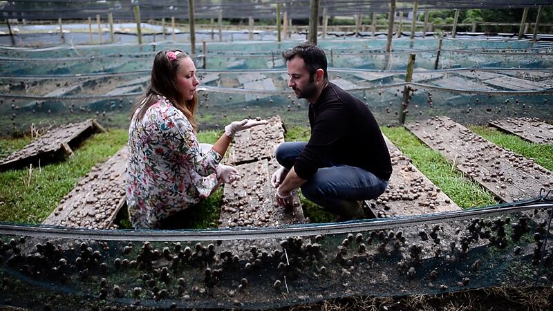 Eva Milka and Eoin Jenkinson of Gaelic Escargot, the snail farm and business they run in Co Carlow, in 2018. Photograph: Bryan O’Brien/The Irish Times