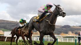 Cheltenham’s Trials Day signals end to pre-festival phoney war element