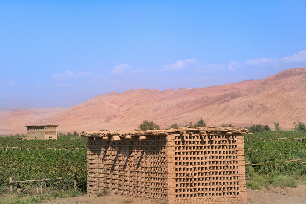 Chinese consumers are shunning domestic offerings from vineyards like this one in favour of imported wine.