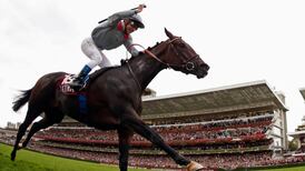 Terrific Treve makes it a one-horse show in Qatar Prix de l’Arc de Triomphe