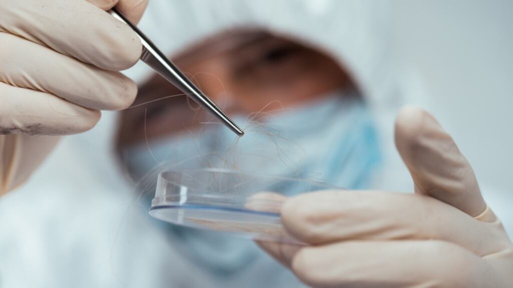 Under the Criminal Justice Act, DNA samples can be collected from crime scenes and stored indefinitely. Photograph: iStock