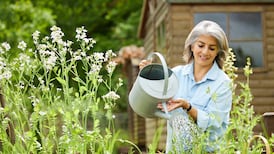 My mother-in-law claimed a widow’s pension for first husband while married to her second. Will we have to repay?