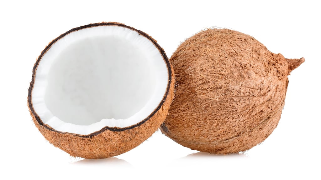 Coconuts made the exploration of the South Seas possible as those early mariners used its pure water and its energy-rich white flesh to quench their hunger and thirst.