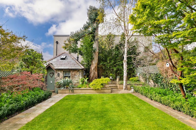 Garden with potting shed