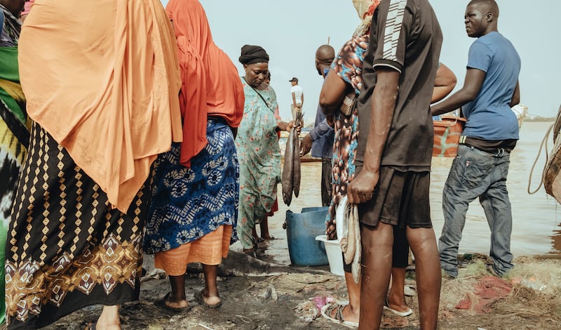A woman selling fish at the local market on the Langue the Barbarie. Photograph: Sirio Magnabosco
