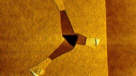 ‘Wonder stuff: Material ‘grown’ at TCD could bring roll-up TVs