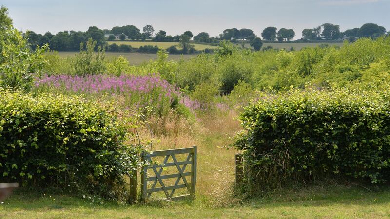Suzanne Power stood in a field in  Wexford with her husband Albie and their two sons, instinct told her they should build a home there. Photograph: Alan Betson