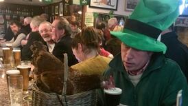 Offaly farmer left ‘devastated’ over loss of record-breaking hen