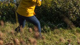 Cork Midsummer Festival week two: Reviews of Found, Freefalling, Sun & Sea and Ode to Joy