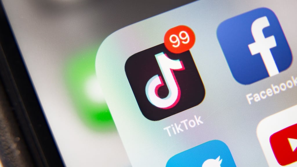 Ipsos Ireland said 21 per cent of people now have the TikTok app. Photograph: iStock