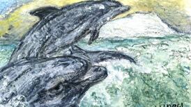 On a frosty morning 40 years ago, I saw a group of dolphins playing tag