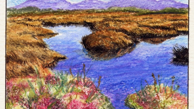 Tim Robinson created a unique ecological chronicle of Ireland