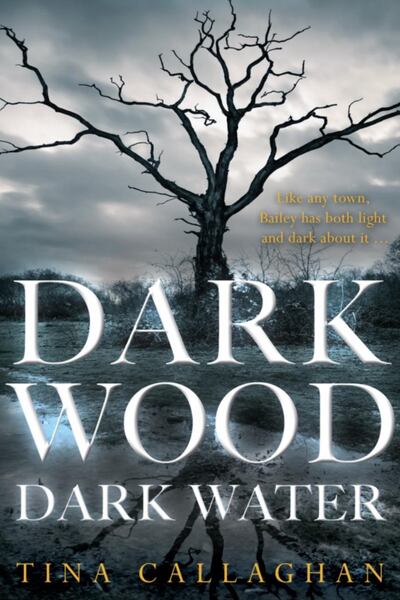 My first novel is a young adult supernatural thriller set in Ireland.