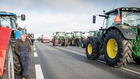 Denmark locks down North Jutland after Covid-19 mutation in mink farms