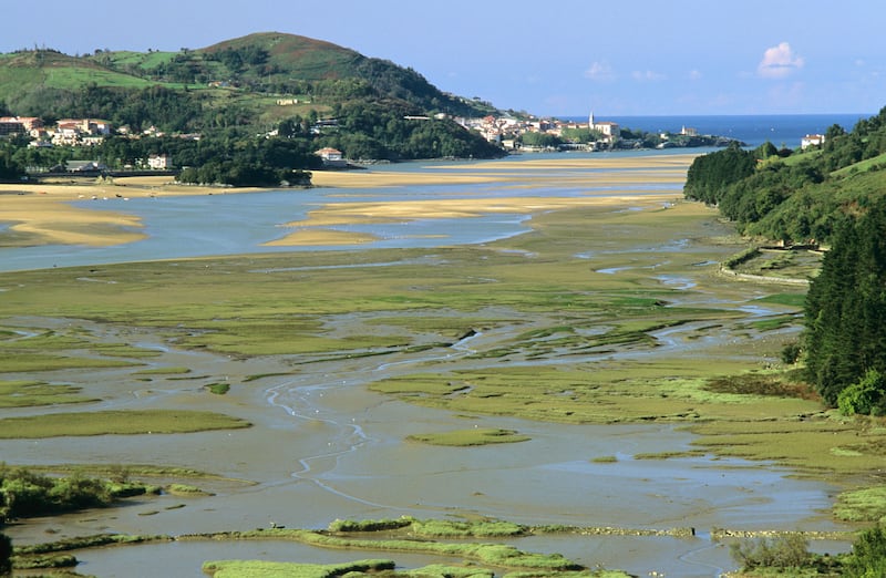 View of the Urdaibai estuary from the eastern margin. Photograph: Joseba del Villar