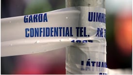 US doctor bailed over  dangerous driving causing death of tourist