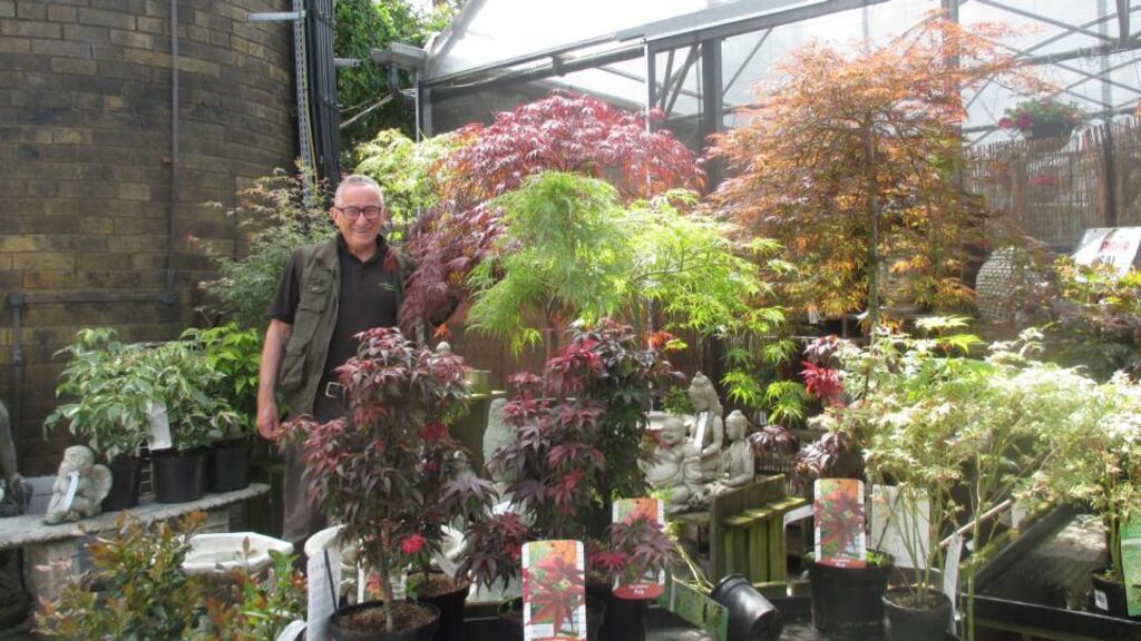 Urban Plant Life’s Sam Smyth: “We’ve done the planting for big weddings. We did Paul McCartney’s wedding, Denis O’Brien’s and the Smurfits. We’ve done the Ryder Cup and the Irish Open for the last four years.”