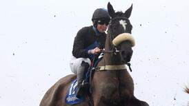 Trainer Dunne to appear in front of Referrals Committee