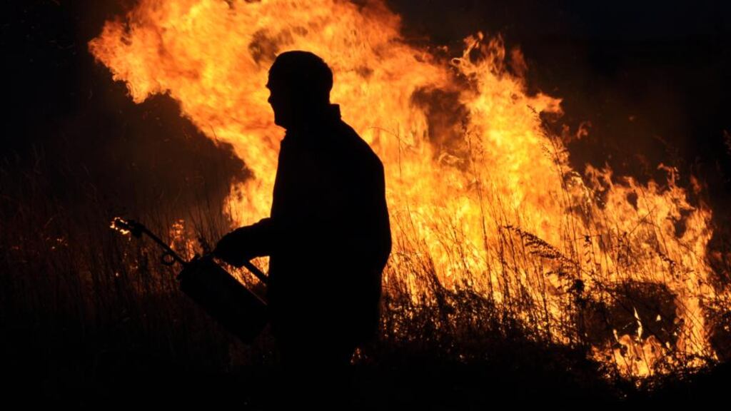 Slash and burn: in the world of ecological restoration, prairies are burned to make them flourish. Photograph courtesy of Sergei Smirenski/CUP