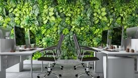 Data challenge throws up ready-made climate solutions for the public