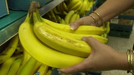 Rate of increase in food prices easing, report finds