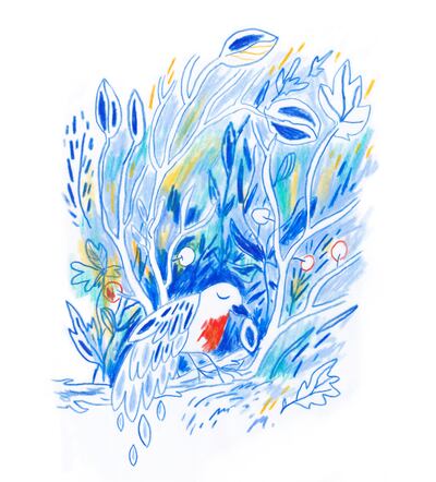 Illustration by Megan Luddy from Ninety-Nine Words for Rain (and One for Sun) by Manchán Magan