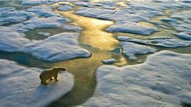 Reader callout: What are you willing to do to help combat climate change?