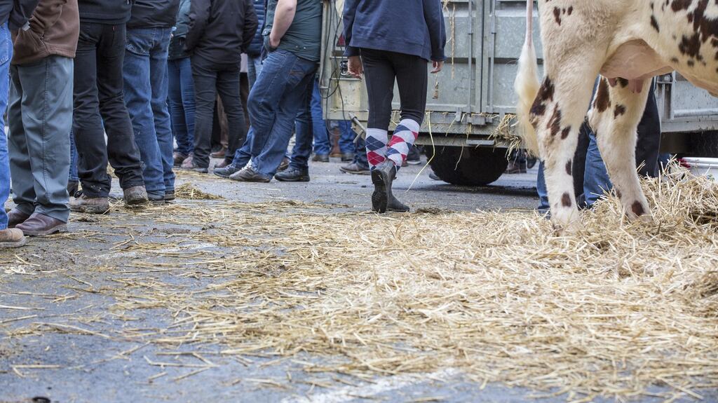 TDs representing regions where beef farming is strong fear a backlash from constituents. File photograph: Getty