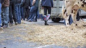 Cap reform presents myriad difficulties for under-fire Coalition