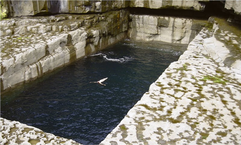 ‘Worm Hole' by Dorothy Cross