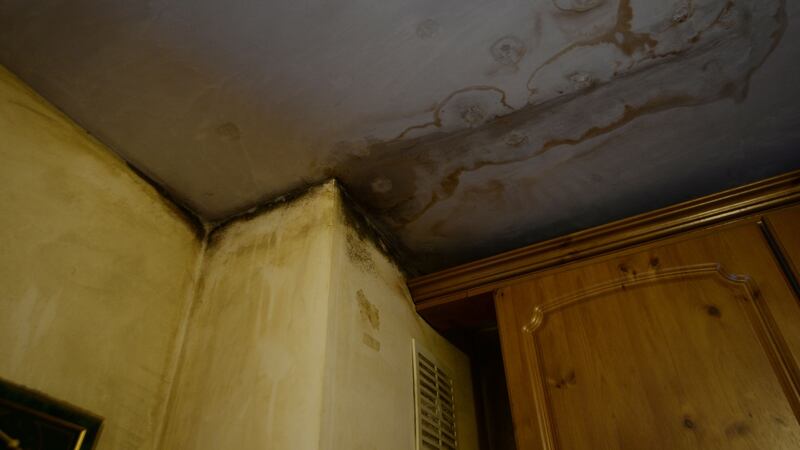 Mildew on external walls of Geraldine Holland’s flat. Photograph: Alan Betson