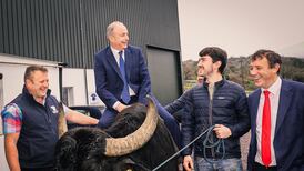 Cork North-West: the story of the count