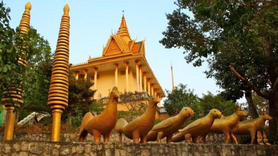 Photograph: Mark Sinnott