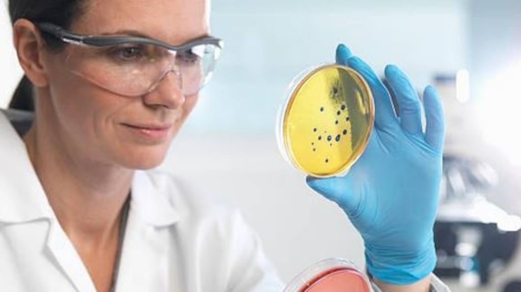 All age groups are affected by infections with antibiotic-resistant bacteria, although their burden is significantly higher among infants than in any other age group. Photograph: Getty Images