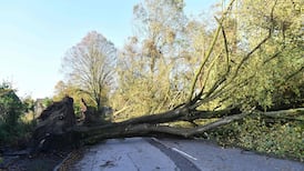 Storm Ophelia transport disruption: Roads and Luas worst hit