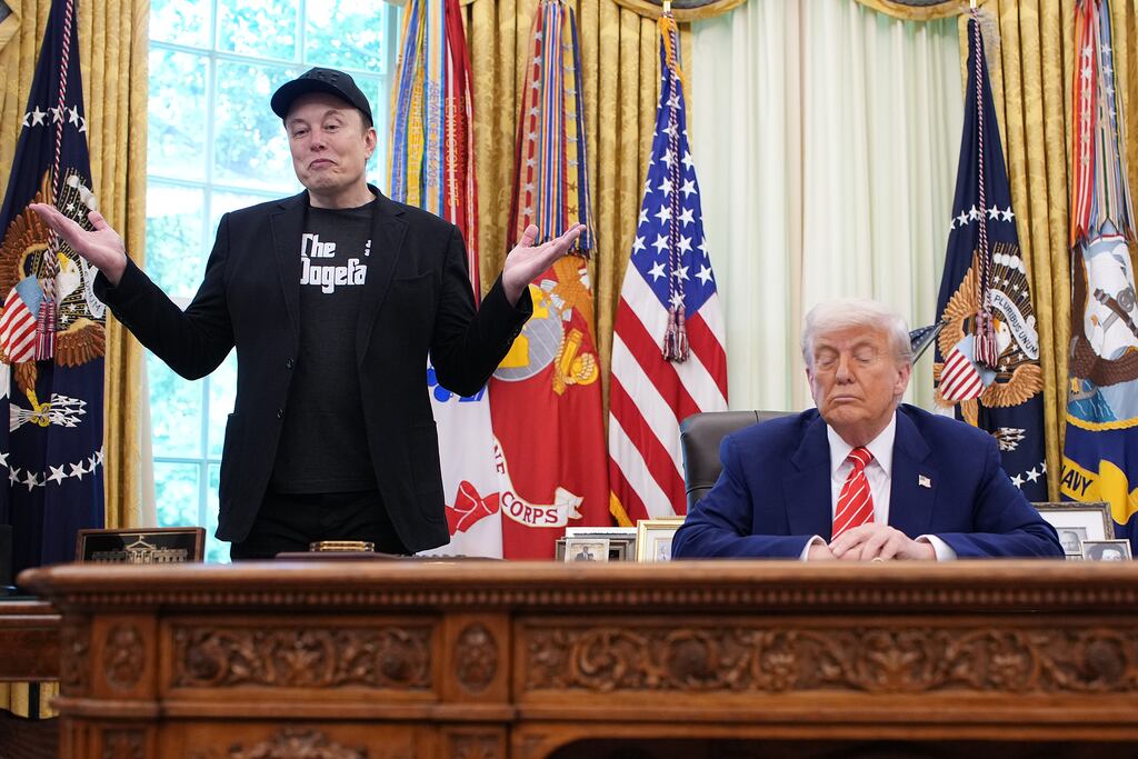 Elon Musk has called Donald Trump's Big Beautiful Bill a `disgusting abomination’. Photograph: Kevin Dietsch/Getty Images