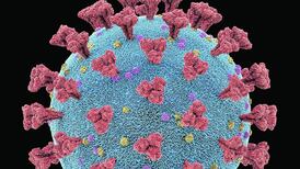 Coronavirus family now a prime suspect in previous pandemics