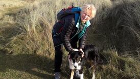 Why I love... dog walking